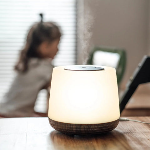 Lively Living - Aroma Home Diffuser