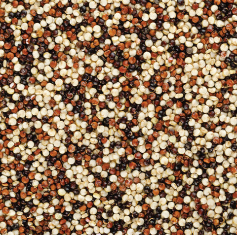 Bulk - Organic Tricolour Quinoa