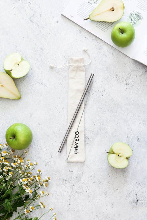 Ever Eco - On The Go Straw Kit (Stainless Steel)